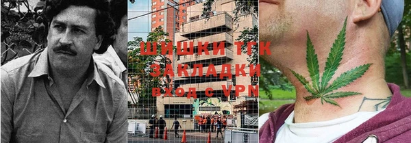 гидра Арсеньев