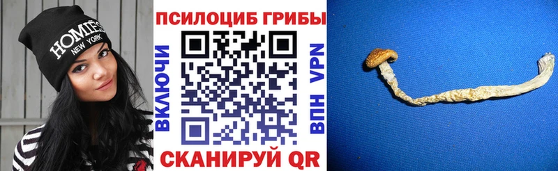 Галлюциногенные грибы прущие грибы  Бирюсинск 